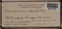 Image Associated With the Occurence